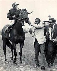 hipicaglobal's tweet photo. 15 de mayo de 1971, “Cañonero II”, ganó la edición 96 del “Preakness Stakes”.
@josedaniel11,@comunicacionJDG,@SkimTheRail,@harasgranmatiz,@HarasCerroPunta,@Kitkat8298,@hipodromomex,@nmariephoto,@deportesglobal,@zonahipica,@HipodromoPA,@PreaknessStakes,@gustavoavilacom https://t.co/t1PHRx4oAs