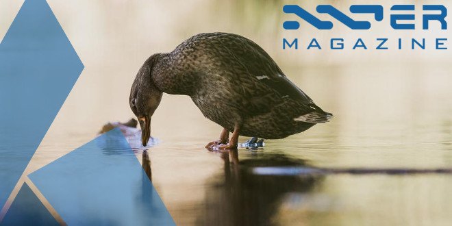 NXT_France's tweet photo. L'actualité des #Nxter - Mai 2018 (ll):  Pour comprendre la vie , on regarde le passé; Pour la vivre, il faut regarder le futur. #blockchain #Nxt #Ardor #cryptomonnaie 
https://t.co/6VhTJL7ICc https://t.co/HSccpr3ZEo