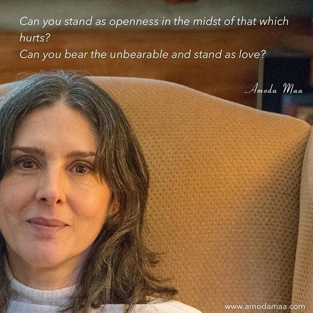 AmodaMaa's tweet photo. Can you stand as openness in the midst of that which hurts? 
Can you bear the unbearable and stand as love?  #wisdom #awakening #awareness #silence #stillness #spiritual #spirituality #zen #love #life #joy #acceptance #embodiment #embodiedenlightenment #… https://t.co/u8i0Mv4nEE https://t.co/bvr5zM1iWf