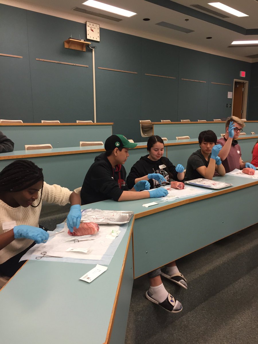 Josh Gibbon tweet media