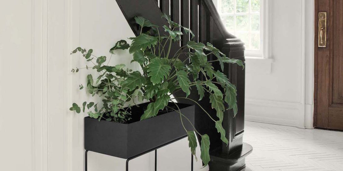 insidestoreldn's tweet photo. Green Living 🌿 Our Ferm Living plant boxes come in two variations. (Pictured) Standing: works great as a divider. Box: can be placed on window sills or as stylish storage in any room. 
#greenliving #futureandfound #fermliving #plantboxes https://t.co/MlYFlh7mji