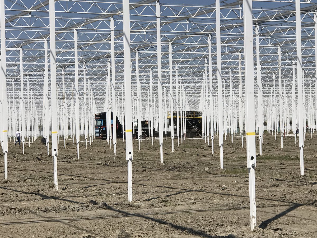 Transport tot in de kas <a href="/rschenkeveld/">Richard Schenkeveld</a> 💪🏻☀️