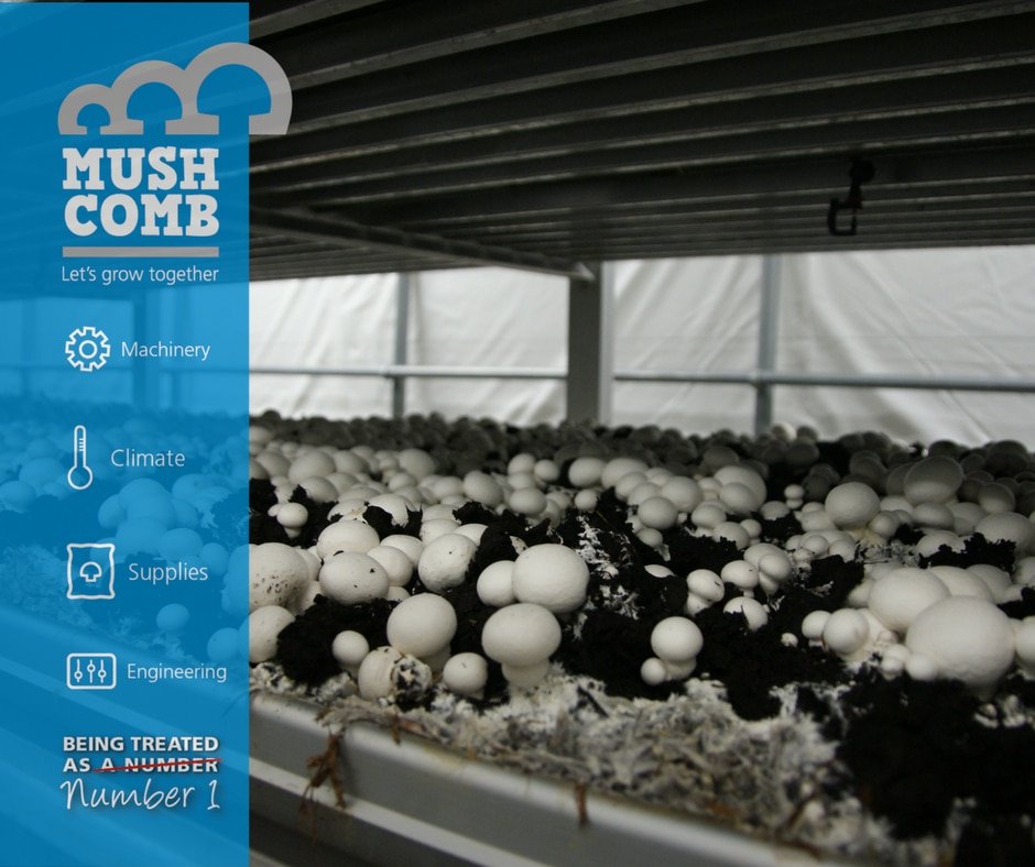 Are you professionally growing mushrooms? Then click here for a look into the future expectations of your market:

mushroommachinery.com/news