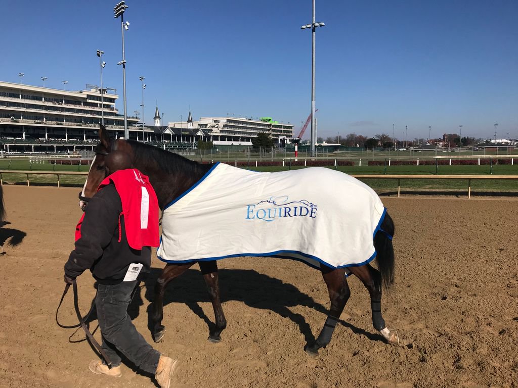 equirideapp's tweet photo. Need to ship your horse to or from the track? Try EQUIRIDE - it's easy! #HorseRacing #Horseshipping https://t.co/WIhRRcIXci
