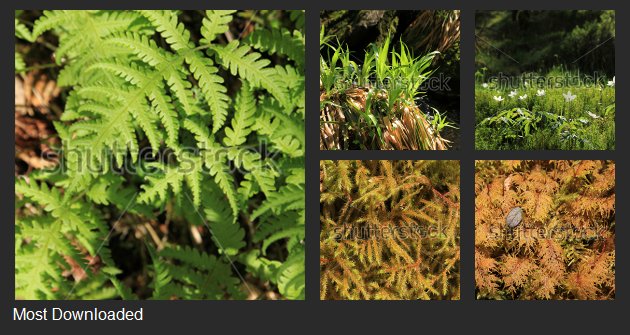 Checkout my gallery at shutterstock.com/cat.mhtml?gall… #nature #spring #forest