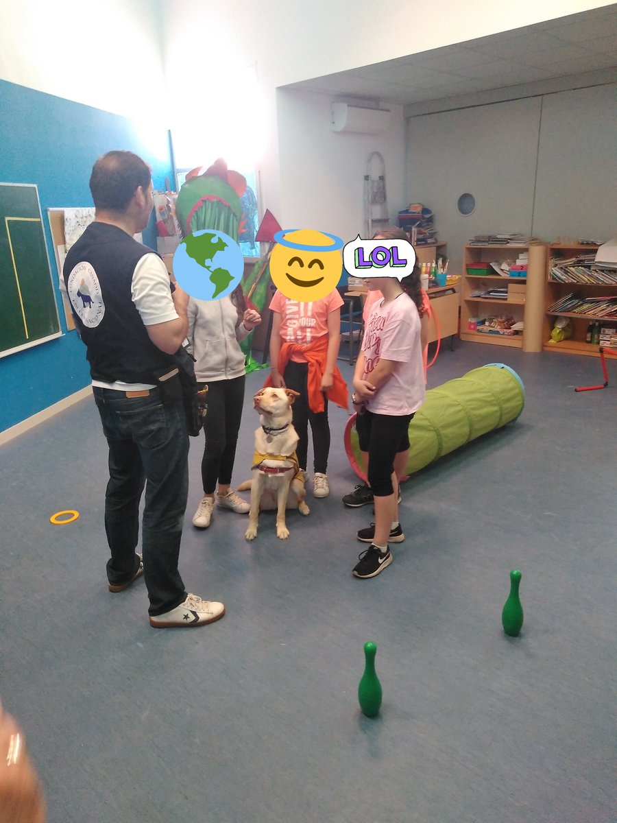 CraTajuna's tweet photo. Hoy hemos tenido una visita especial. La @FundacionCanadd nos ha enseñado la diferencia entre perros de asistencia y perros de terapia. ¡Muchas gracias! #Orusco #Perreando #Labradores https://t.co/U0KgHnI127