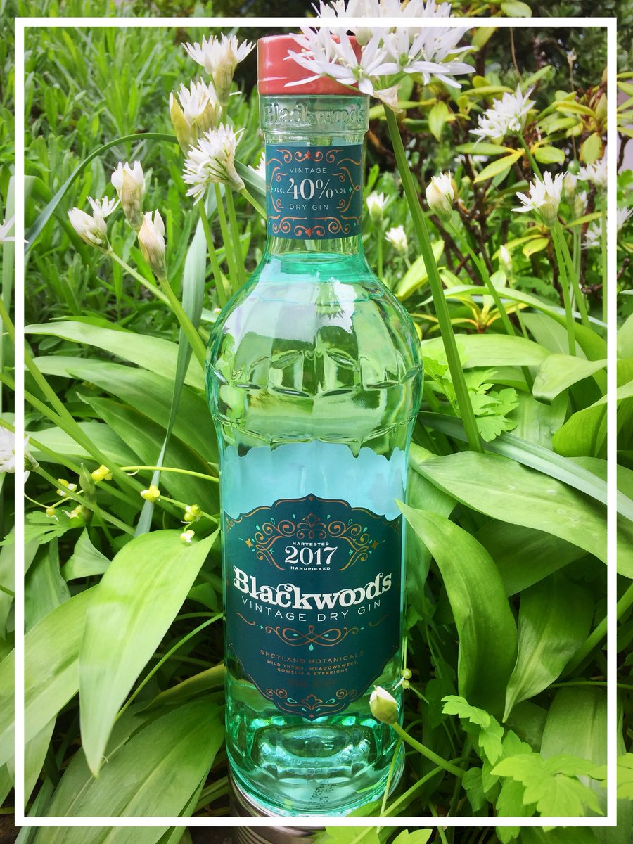 Blackwoods Gin on Twitter: 