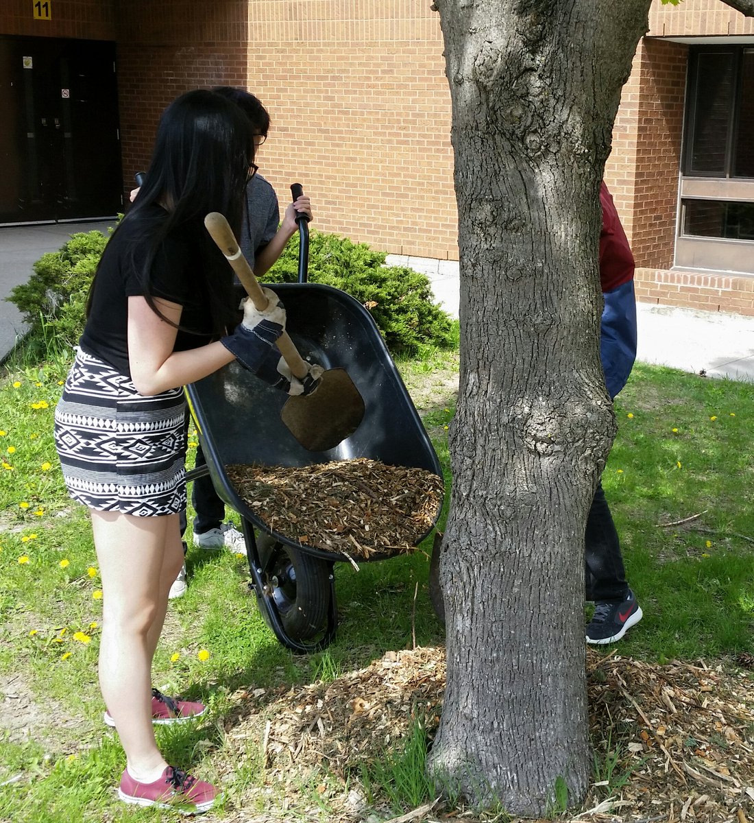 BethuneBEAT's tweet photo. It must be spring!  BEAT has been working outside putting mulch around Bethune's trees. @TDSB_BethuneCI @EcoSchoolsTDSB https://t.co/AsSig6uxel