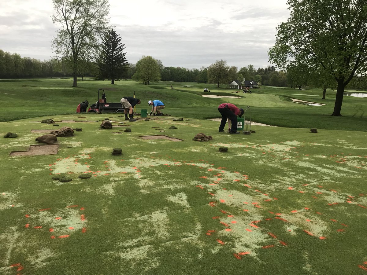 The boys working diligently to repair our damaged green surfaces. Greens responding well to extra care, but some areas need to be changed out.