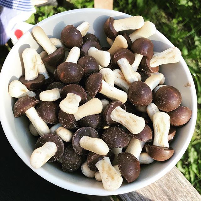 kscheib's tweet photo. Chocolate mushrooms #52newthings #18of52 #latergram #foodstagram #russia #dachalife #грибы #надаче #номномном https://t.co/boItb0v8Kh https://t.co/JCqAlbddar
