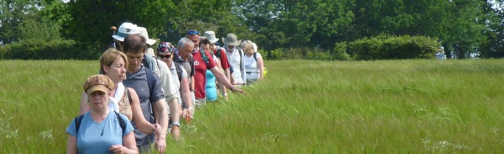 Alpha Guardians tweet media