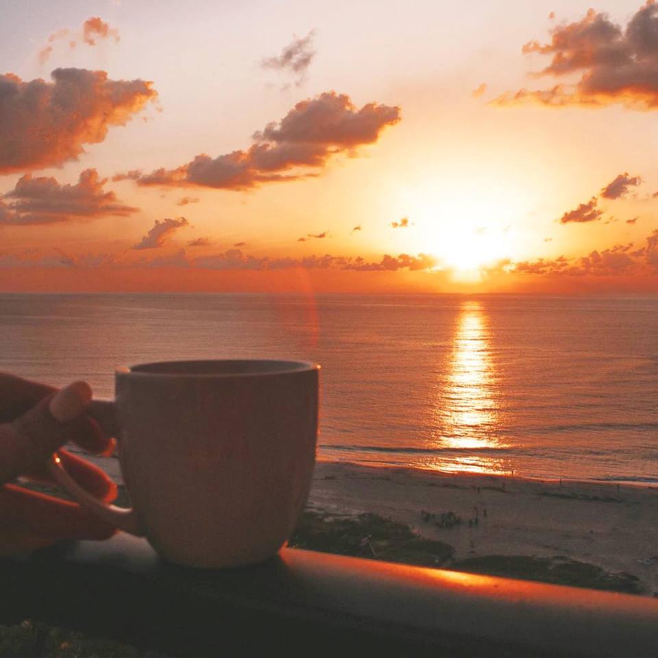 eatlivetraveldr's tweet photo. 7 Experiences To Have When Visiting @PalmBeachesFL <3 #travel #ttot #Florida @VISITFLORIDA --> https://t.co/9ufwmwcoPw https://t.co/5rjd5XCaha