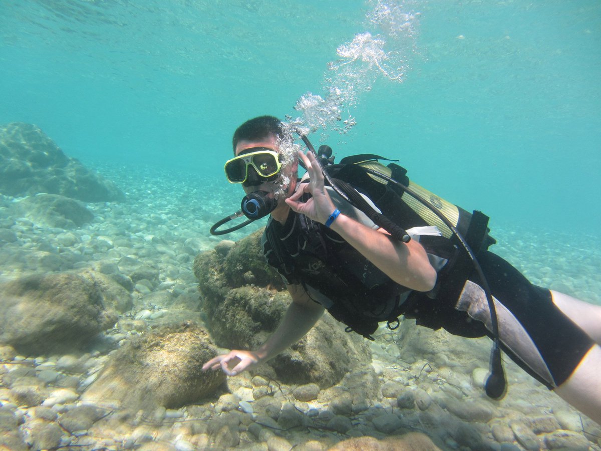 BlueToursCorfu's tweet photo. Want to explore the magical underwater world of Corfu? Take our Scuba Diving Tour! https://t.co/JwA4L5ohep

#Corfu #Kerkyra #Corfou #Korfu #ScubaDiving #CorfuTours #CorfuExcursions #VisitCorfu #DiscoverCorfu #VisitGreece #DiscoverGreece #BookaBlueTour #Travel https://t.co/Z4R6euf4iQ