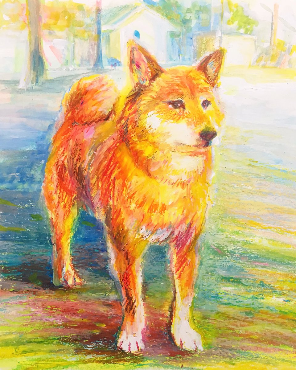 かわのまほ U Tvitteri 柴犬 イラスト好きな人と繋がりたい イラストレーション 犬好きさんと繋がりたい 動物 犬 サクラ クレパス クレヨン 公園