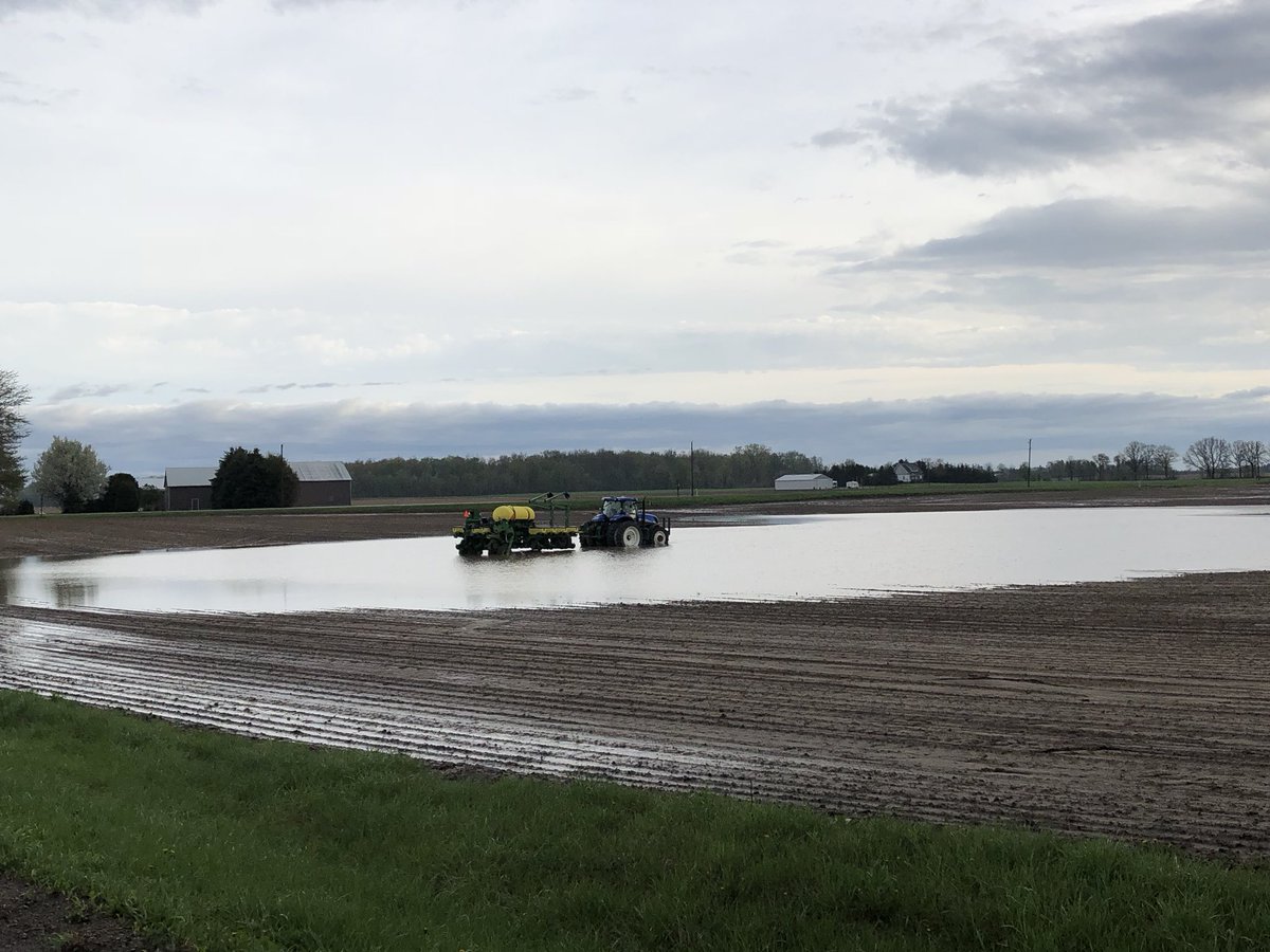 Just a bit wet south of Highgate....