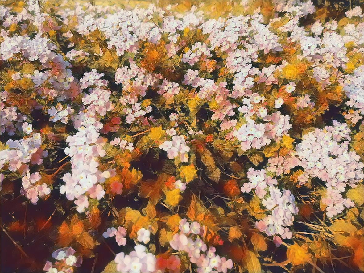 RY__Films's tweet photo. Beauty of Nature @ry__films
#ryphotography #ryclicks #ryfilms #rohityadav #rohityadavfilms #panting #oilpanting #wallpaper #abstractart #abstractartpainting #wall #stylish #basic #postive #frame #portrait #freshly #painted #art #nature #Photography #modern #paint #personpainting https://t.co/MgkqZJ3I0o