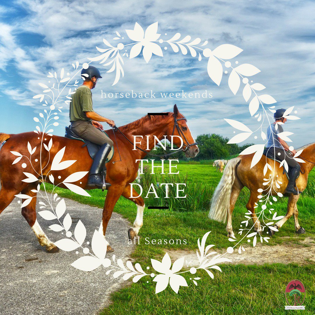 UnPetitParadis's tweet photo. Horseback! #italy #umbria #umbrien #incoming #Perugia #Assisi #Castiglionedellavalle #horse #horseback #horseride #tourism #nature #spring #sunny #spa #travel #country #green #relax #love #loveumbria #madewithlove #madeinumbria #2K18 #unpetitparadis https://t.co/tbyvDA5ua5