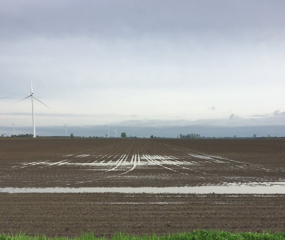 NZwambag's tweet photo. Saturated Soil? Nitrogen all on? Whereβs your Nitrogen Now? How much is still there? Do you have an Action Plan to top up? Call @DevolderFarms to create your plan today using @360yieldcenter #soilscan and #yDrop https://t.co/dB1FZL73W9