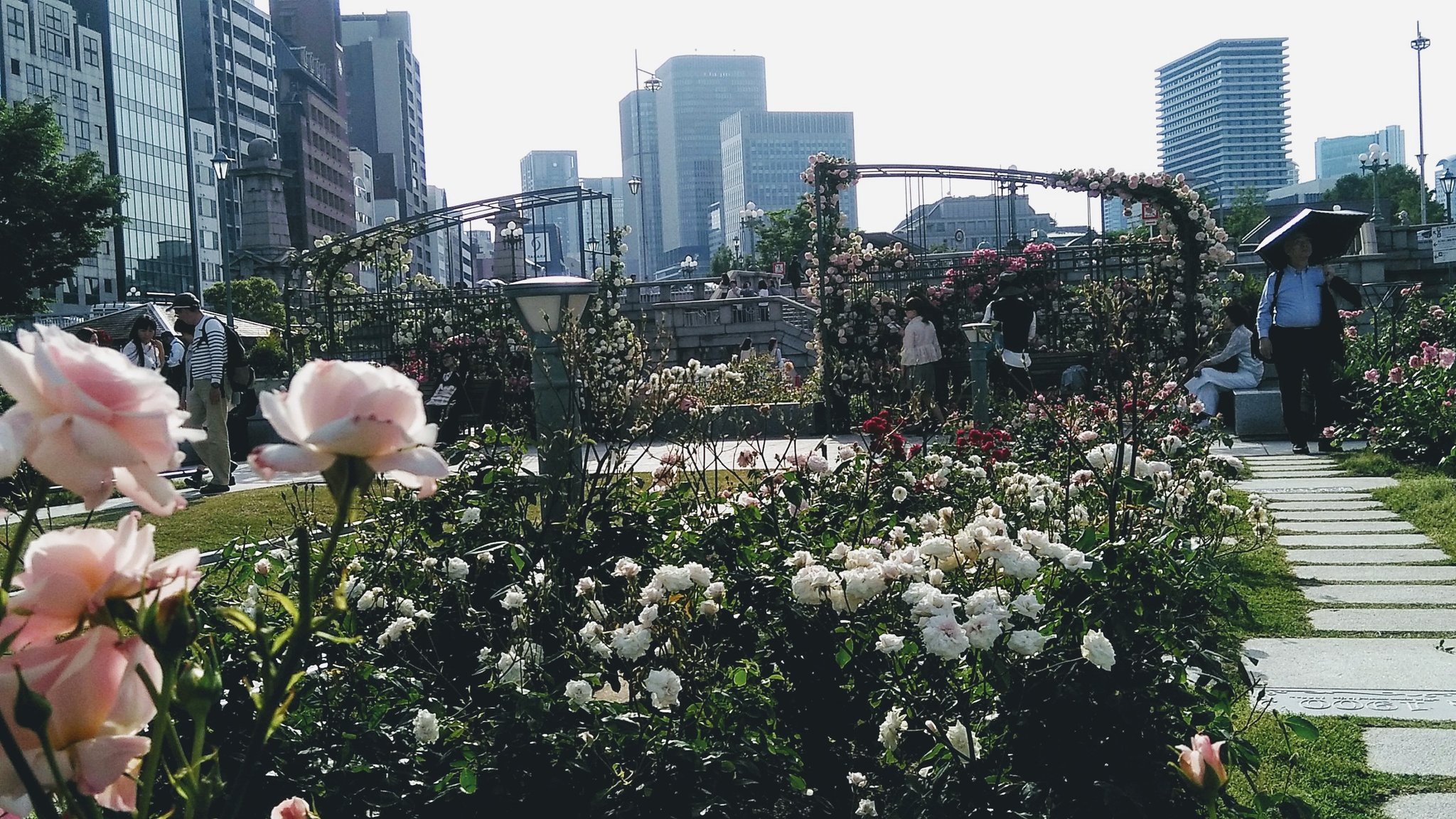 Punyuko 中之島バラ園のローズソフトクリーム٩ ๑ 0 ๑ ۶今日はむちゃくちゃ暑くて受け取った時から溶ける あかん とっとと撮らなくちゃwww笑 中之島バラ園 ローズソフトクリーム T Co Hubkb1tgig Twitter