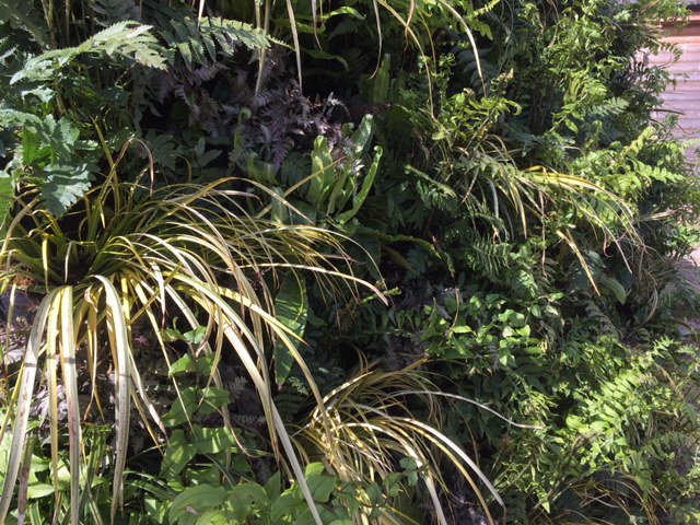 teigntrees's tweet photo. Madly preping our #landscape stand for @DevonCountyShow on Thursday. Weather is looking amazing & we're creating a #roarsome 🦖 spectacular on Avenue R No 413. There's plenty to see & win, all proceeds to @TheBHF #teigntrees #devoncountyshow #devonsbigdayout #winaprizeeverytime https://t.co/4Xf8Liod2L