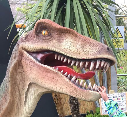 teigntrees's tweet photo. Madly preping our #landscape stand for @DevonCountyShow on Thursday. Weather is looking amazing & we're creating a #roarsome 🦖 spectacular on Avenue R No 413. There's plenty to see & win, all proceeds to @TheBHF #teigntrees #devoncountyshow #devonsbigdayout #winaprizeeverytime https://t.co/4Xf8Liod2L