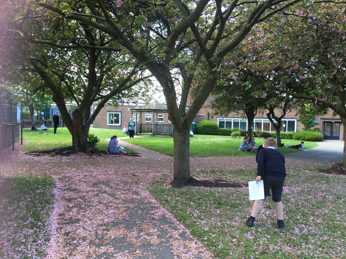 StAndrewsCoE's tweet photo. Arithmetic revision revision in the sunshine for Year 6! #hunttheanswer #bringonthesats https://t.co/s3QQ7U9MPf
