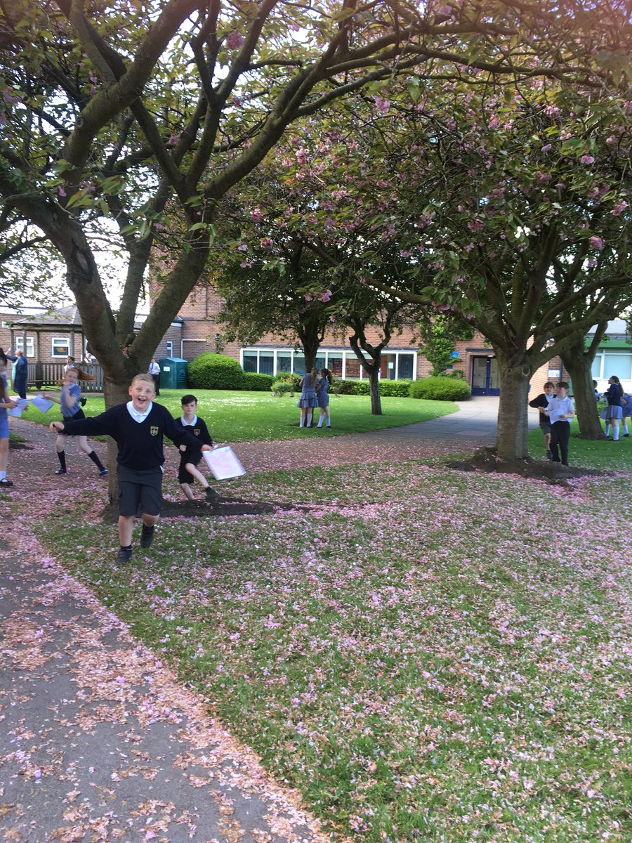 StAndrewsCoE's tweet photo. Arithmetic revision revision in the sunshine for Year 6! #hunttheanswer #bringonthesats https://t.co/s3QQ7U9MPf