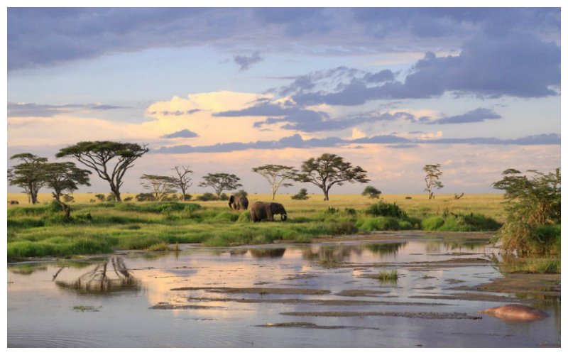 PortfolioSA's tweet photo. Today we're east Africa dreaming... Read our guide to what to do &amp; see in this gem of a destination #Tanzania #Africa #TravelTuesday #EastAfricaExploring #RoamThePlanet #EastAfrica 
https://t.co/6y7Jaj6cCz https://t.co/TlTxaLgmSw