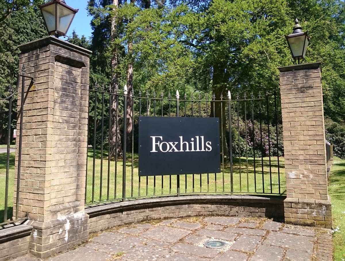 FoxCollectionHR's tweet image. The rhododendrons are just about to burst into life @FoxhillsSurrey - looking beautiful in the sunshine!