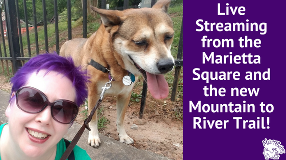 MuttButs's tweet image. Having trouble brainstorming content ideas for your blog and social media? I&apos;ve got 6 Ideas for Created Content for Your Pet Business. 
- mailchi.mp/b0cff59cee7b/c…
#PetMarketing #PetBusiness #CreatedContent