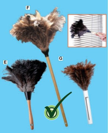PrimaKleanBtfd's tweet photo. Put a little ‘Ooh la la’ into your spring cleaning jobs! Prima Klean’s Product of the Week is Ostrich Feather Dusters! Made exclusively from 100% natural ostrich feathers, these dusters are the ideal tool for fast and... (more:https://t.co/bxL5bHf9xM) https://t.co/db8tkSuTpb