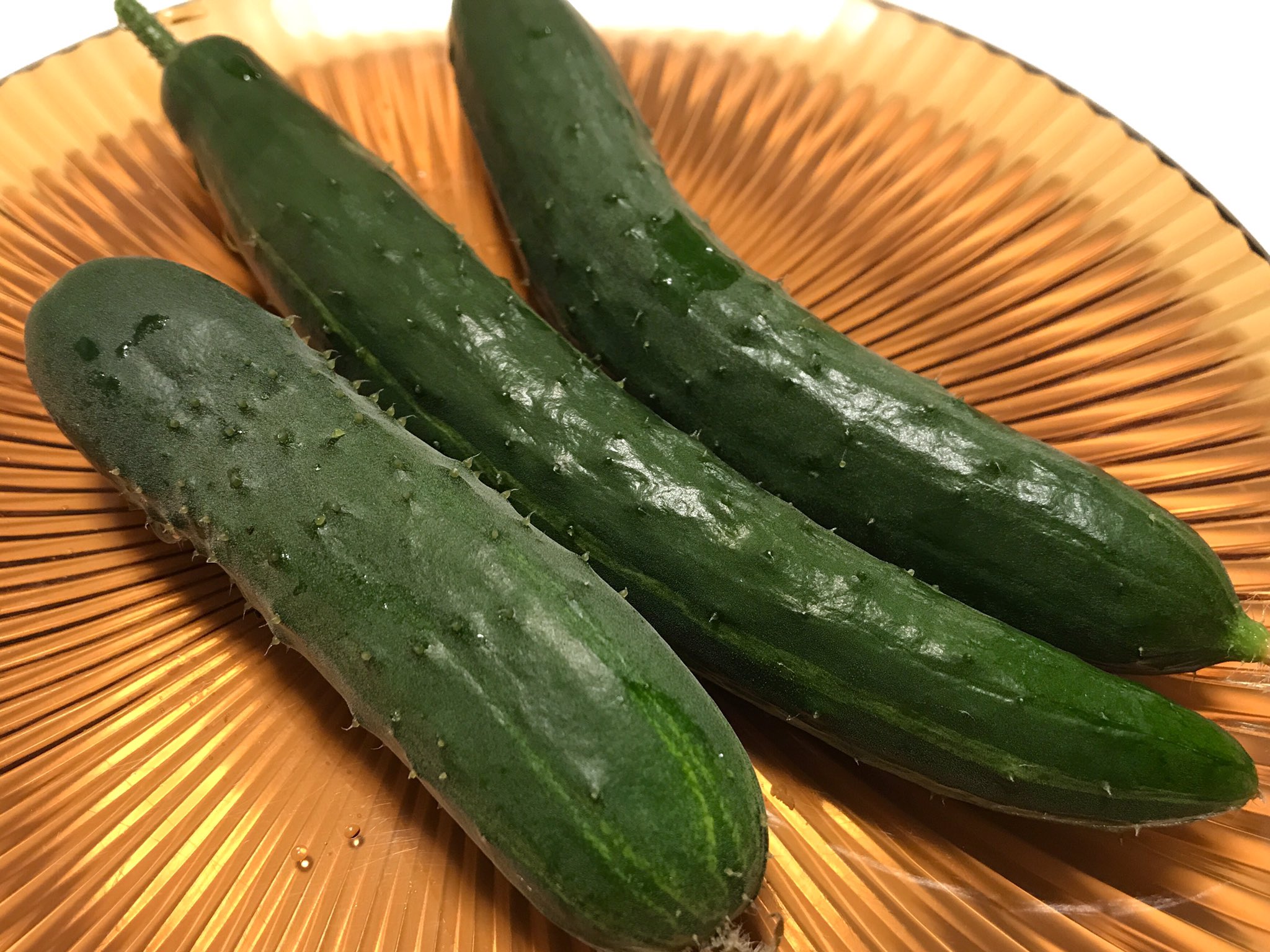 ちょろみ 晩酌で出したきゅうり 食べる直前にプランターから採ってきました O O ミニきゅうり は ごま酢和え 普通のきゅうり は 丸かじり とげとげが本当に刺さる 家庭菜園 プランター 採れたて野菜 沖縄 Okinawa Vegetable Garden