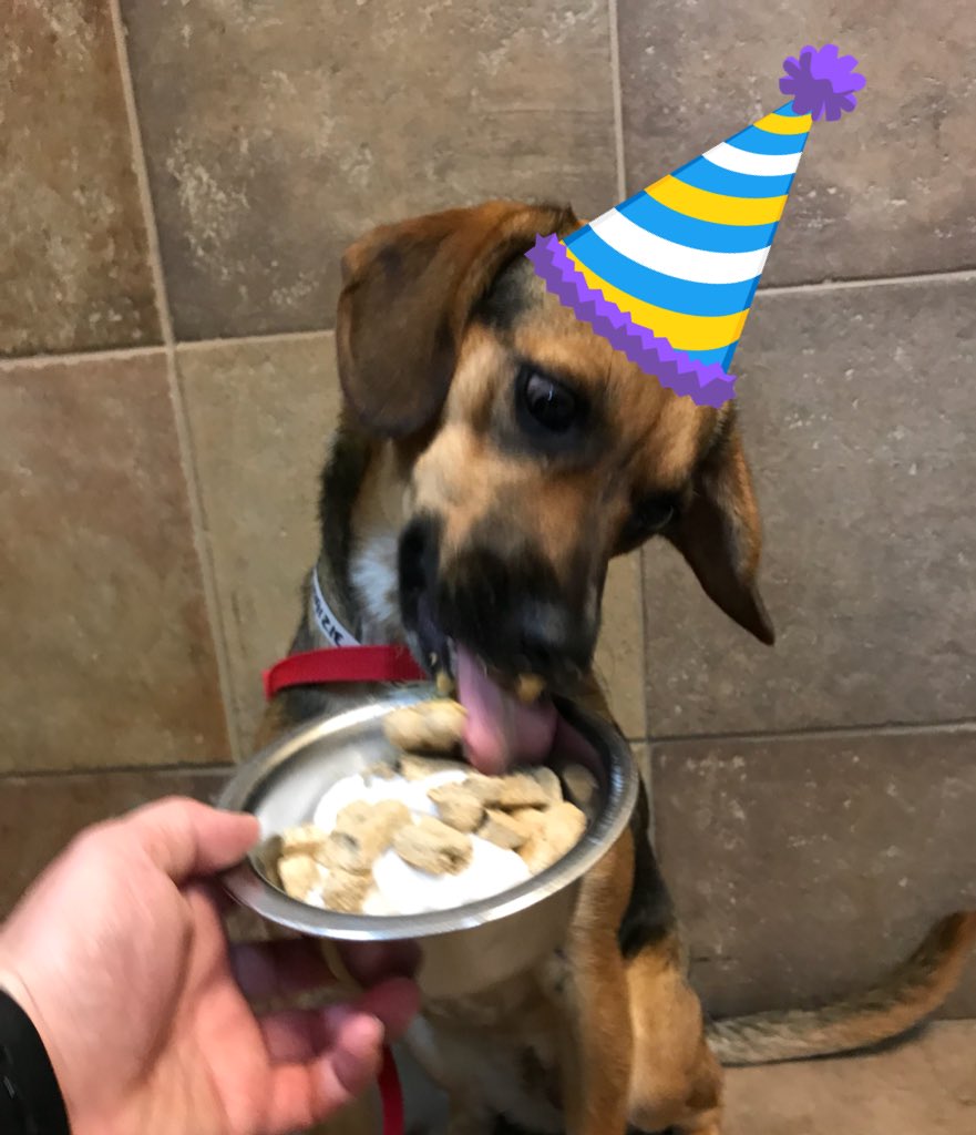 Framingham Petsmart tweet media