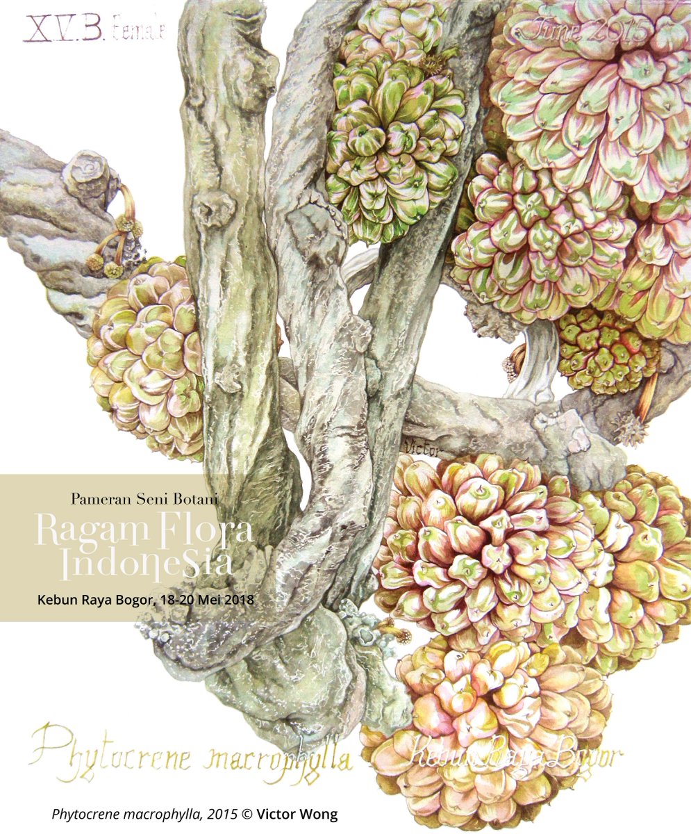 Download 88 Koleksi Gambar Flora Untuk Dilukis Terbaru Gratis HD