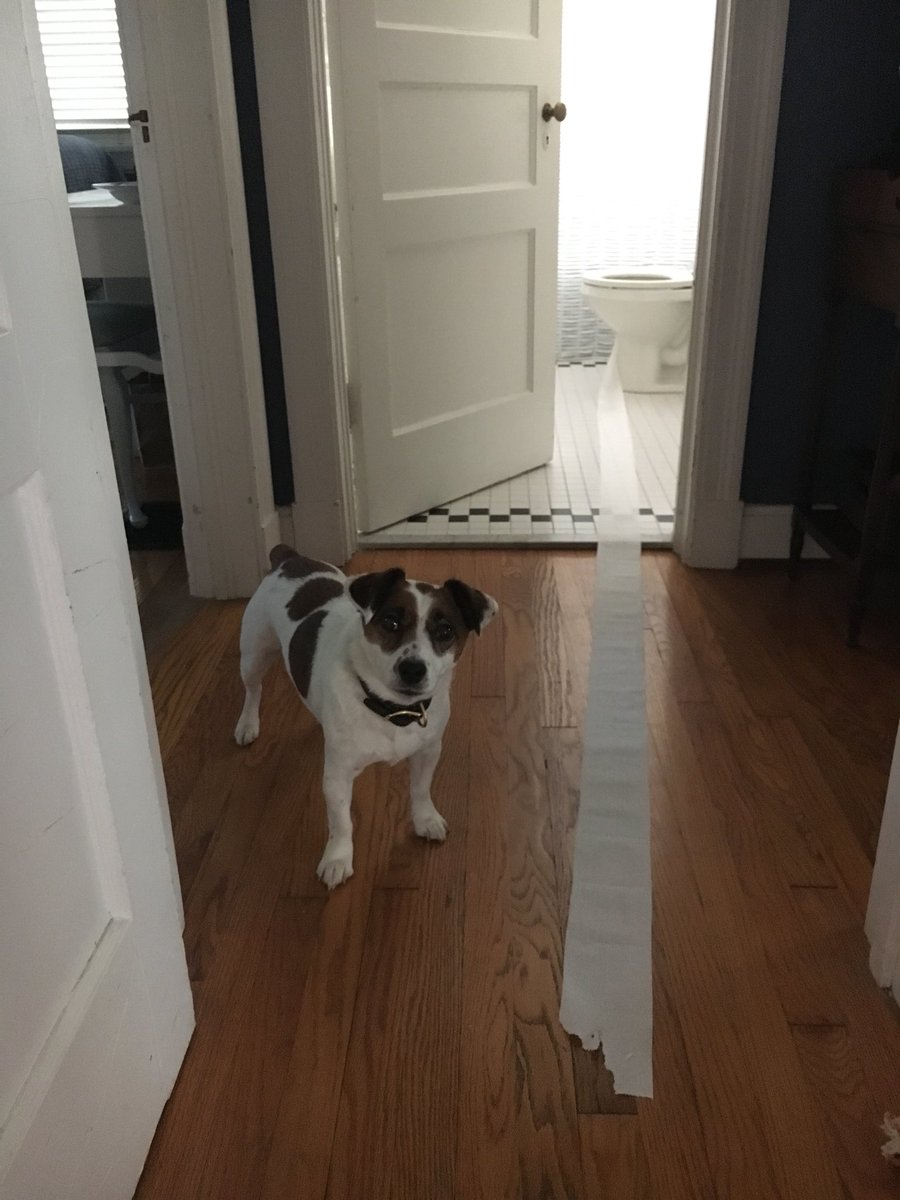 Caroline Pickens tweet media