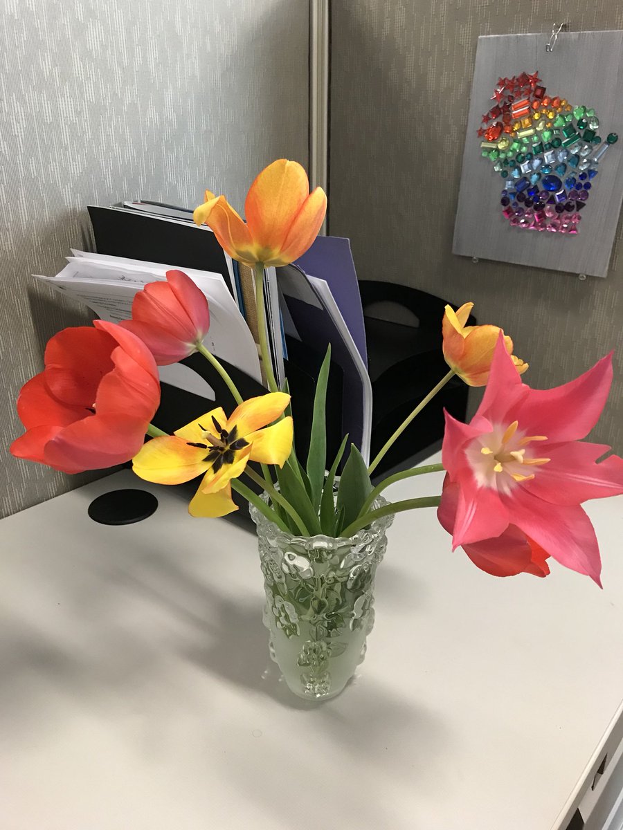 My coworker grows some beautiful flowers! And luckily for me, she likes to share them with the rest of us. 🌷🌸🌼🌹