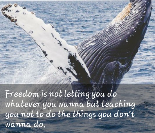 Official_sulola's tweet image. #GetItStraight