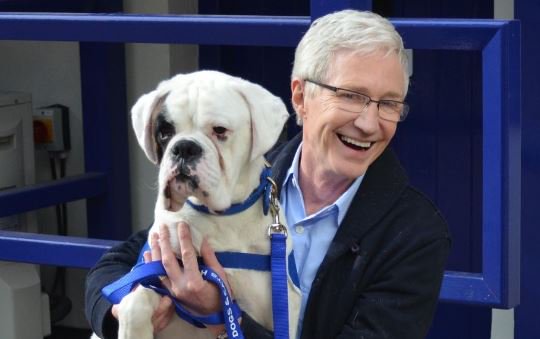Battersea_Press's tweet photo. Calling all #POGDOG fans! 🐶 @realpogdogs is up for an award in the Factual Entertainment category at the TV Choice Awards! You can vote here: ➡️https://t.co/YtjxQwBumX⬅️ https://t.co/HCzn6ecplg