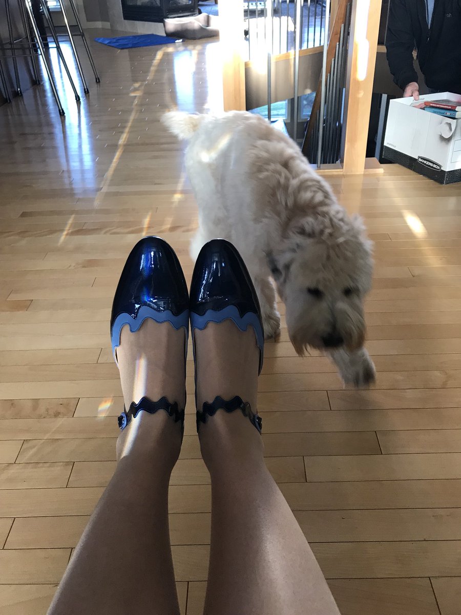 jayeldaniels's tweet photo. Picked my pair, Luna approves #FluevogDay https://t.co/Pgd3GEqZ1B