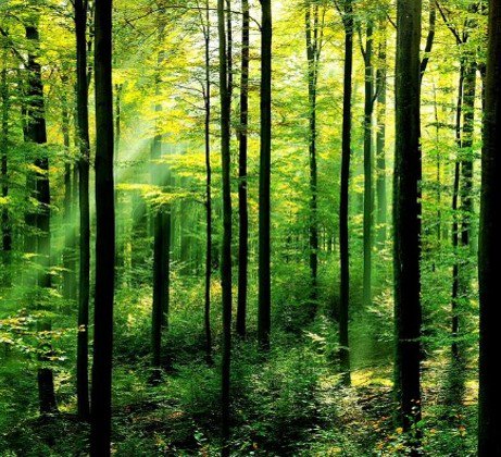 Aquest_Design's tweet image. *** RESPONSIBILITÉ ENVIRONNEMENTALE ***

AQUEST DESIGN est conscient de sa responsabilité pour l’environnement et les générations futures et s’engage à minimiser son empreinte écologique dans toutes ses opérations.