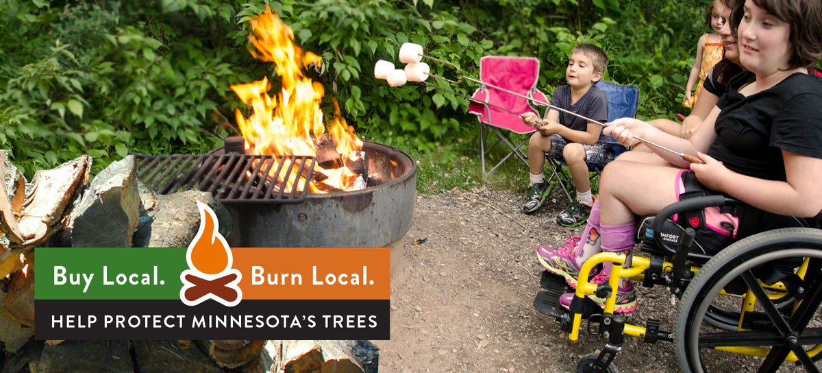 mnstateparks's tweet photo. Before heading to #MNstateparks, make sure you are up to date with firewood rules. Buy local, burn local! https://t.co/RUFoe5XkpY https://t.co/PZP07Nl75x