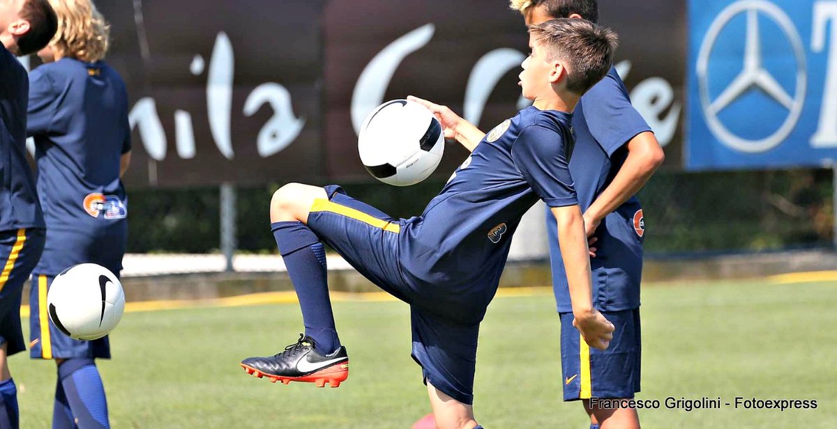 HellasVeronaFC's tweet photo. #FullCamp a #Peschiera: ultimi posti disponibili per un'estate gialloblù a 360°!
Leggi qui ➡️ https://t.co/CAPDhyf1hB
#HVGiovanili #HellasGirls https://t.co/sRuBPNeilu
