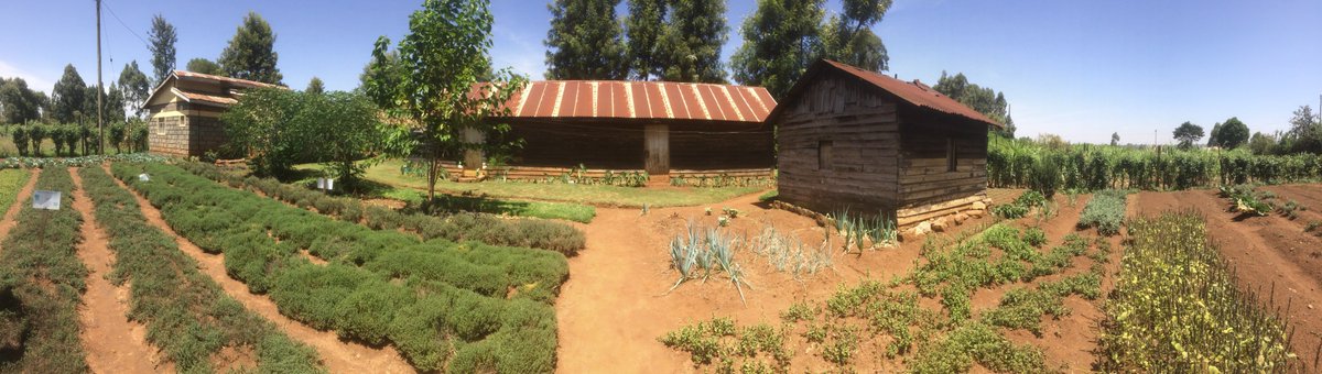UNATHI_Labs's tweet photo. No farm is too small to demonstrate and test farming best practices across different crops. Using innovation and thought leadership from within communities to drive tangible impact and results. Seeing is believing. #StrongFarmers #UNATHI https://t.co/6SCgR1cOS6
