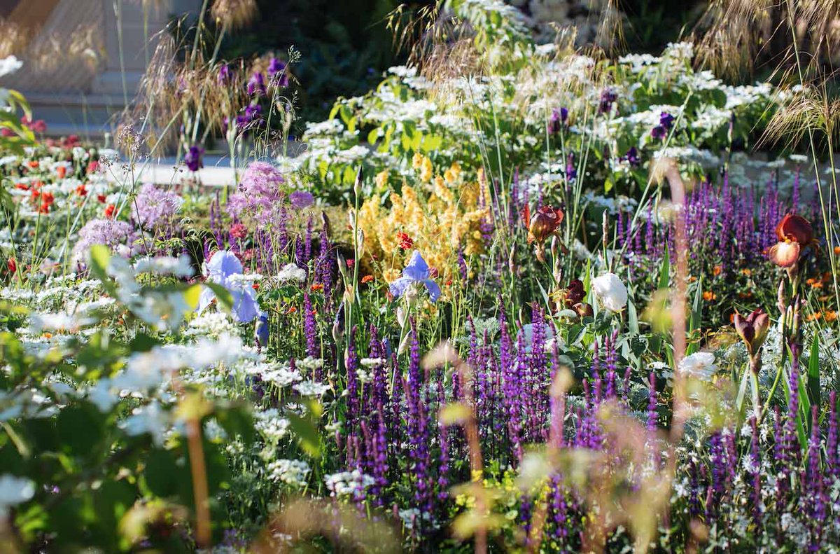 EnglishHomeTeam's tweet photo. At the RHS #Chelsea Flower Show 2018, discover an abundance of spectacular blooms and wonderfully inventive #gardens at the world’s most famous horticultural event

It's just 1 week away so find out what you can expect from the show https://t.co/kKl4LI2Axn

@The_RHS #RHSChelsea https://t.co/uxPr2cDdkb