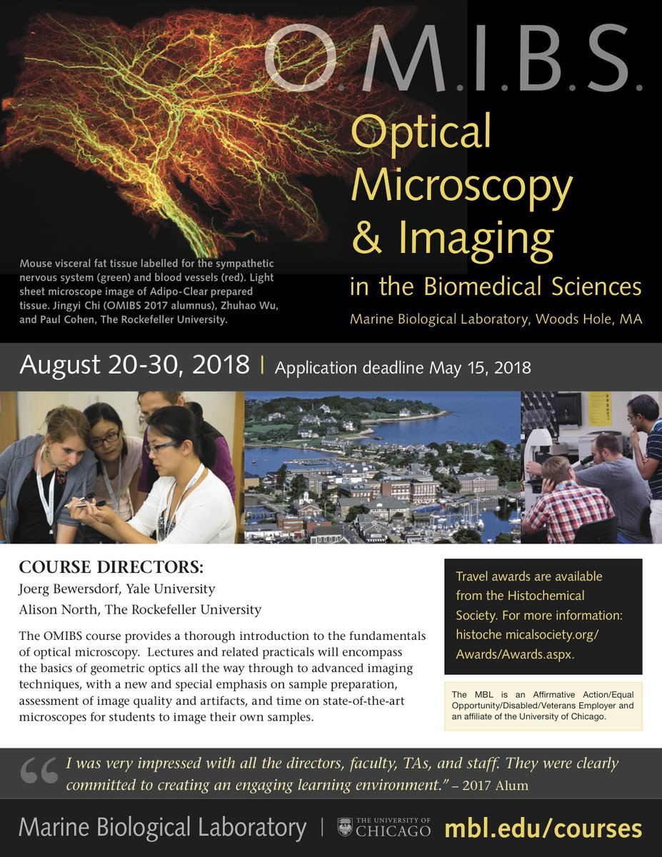 physiology of prenatal exercise