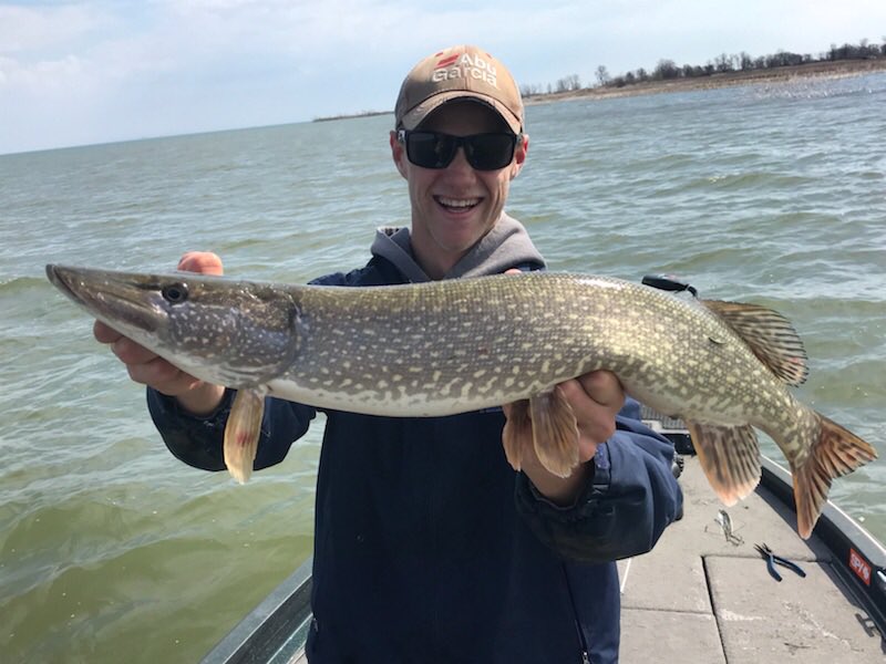 Spencer Blake tweet media