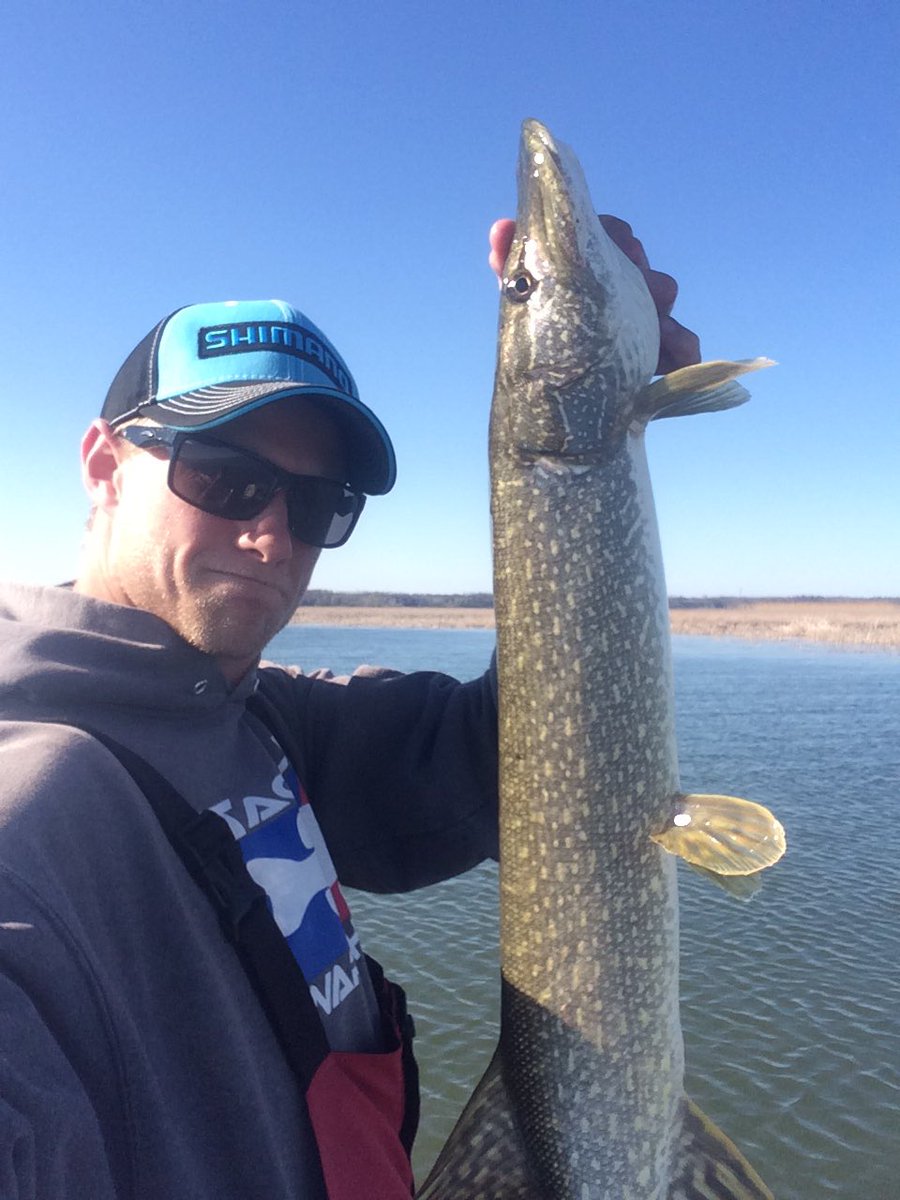 Spencer Blake tweet media