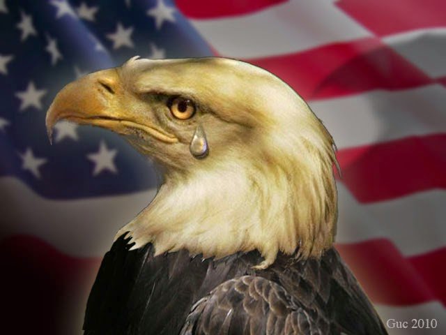 Kathie L on Twitter funder the eagle is sadour country is in  big trouble httpstcolGjmGj0tMp  Twitter
