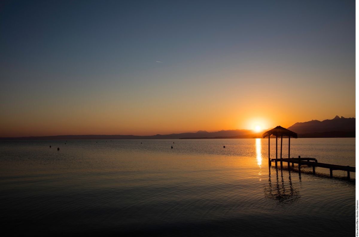 SMBIntl's tweet image. Lakes: 4 natural areas to log out in #savoiemontblanc ➡️savoie-mont-blanc.com/en