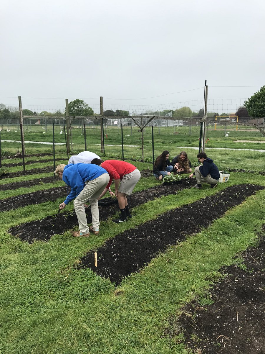 SoutholdScience's tweet photo. We had a bunch of APES helping in the garden this morn! Thx Ms. Mincieli! @southoldelem @SHS_Biology15 https://t.co/tGH20VW3Ro
